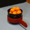 홍우진 카카오 검색결과