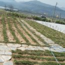 비전목장 이미지