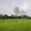 청계산수변공원 이미지