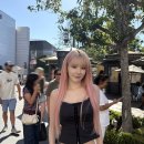 사쿠라