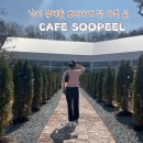 12시천연탕1 | 창녕 남지 유채꽃 보러 가며 함안 숲필카페 넓은 정원과 다양한 베이커리