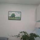 가슴편한내과의원 이미지