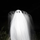 [겨울]생각톡과학실험A 이미지