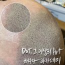 채우다뷰티 네이버블로그