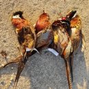 덕일슈퍼 이미지