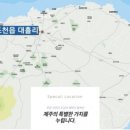 조천약국 이미지