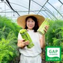 연 농장 이미지