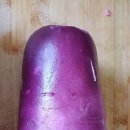 풍국농장 네이버블로그