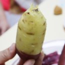 꿀밤유통 네이버블로그