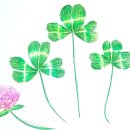 압해동초등학교 이미지