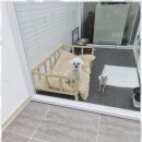 The빛나개 이미지