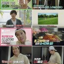 금성광고 이미지