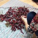 근수농장 이미지