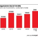 테슬라 코리아 연도별 국내 전기차 판매량 이미지