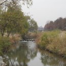 양재천근린공원 이미지