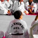 용인대박사백호태권도장 이미지