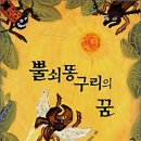 뿔쇠똥구리의 꿈-새책 이미지