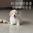 BOB애완용품금호점 | 양천구 애견용품 네이쳐스프로텍션 화이트도그사료 강아지 눈물사료 추천 BOB 애완용품전문점 목동점