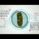 (사)미역다시마전략식품사업단