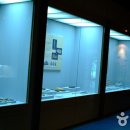 동삼동패총전시관 이미지