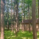 메타세콰이어 화장실 이미지