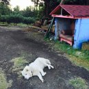 게스트하우스갤러리 이미지