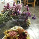 플라워케이크지도사(앙금플라워떡케이크) 이미지