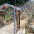 산삼주제관 이미지