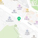 로얄펫 강아지분양 고양이분양 전주본점 이미지