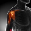 신사한의원 네이버블로그