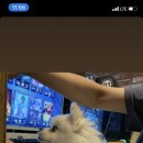 더샾PC방 이미지