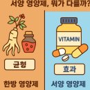 동양비타민약국 | 한방 영양제와 서양 영양제, 뭐가 다를까?