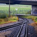 마음의 울림 이미지