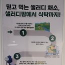 샐러디 김포구래점