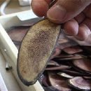 진잠한의원 이미지