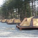 함평나비마을서울캠핑장 이미지