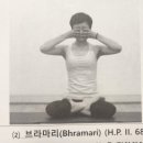 그;林 이미지