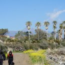 바당올레 이미지