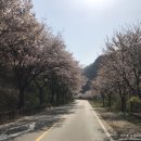 대동낚시할인마트
