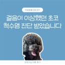 헤아림동물병원 | [강아지 척수염] 리본동물의료센터 후기