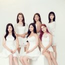 베리굿 Daum카페