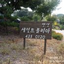 세인트폴리아 | 홍천 세인트폴리아 펜션 오션월드근처 저렴한펜션