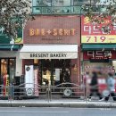 2024년 12월 24일 케이크 맛집 분당 브레젠트 정자점 후기