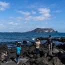 신양섭지코지해변 이미지