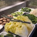 하노이테이블 | [서판교 맛집] 운중동 하노이테이블 샤브샤브&월남쌈 무한리필 후기🍲