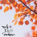 [서부] 스마트폰 고수되기 이미지