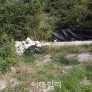 시곡3리 마을회관 이미지