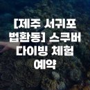 연꽃 | [제주 서귀포 법환동] 스쿠버 다이빙 체험 예약