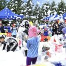 서산버드랜드 이미지