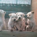 송산로 | 용현동요양원 의정부행복한요양원 정보